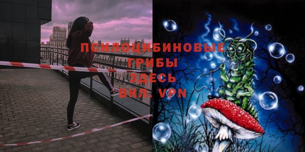 мет Верхний Тагил