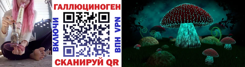 Псилоцибиновые грибы Psilocybe  Кудрово 