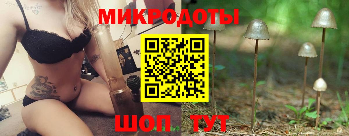 Галлюциногенные грибы Psilocybine cubensis  Кудрово 