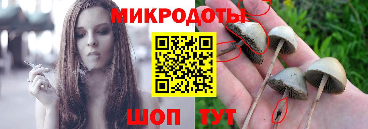 Кудрово  Псилоцибиновые грибы Cubensis  хочу   Вход с VPN 